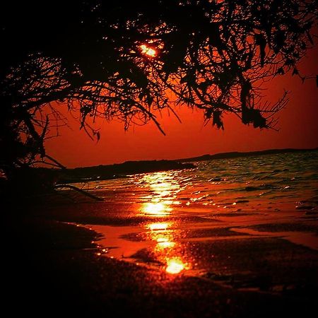 Fulhadhoo Inn Экстерьер фото