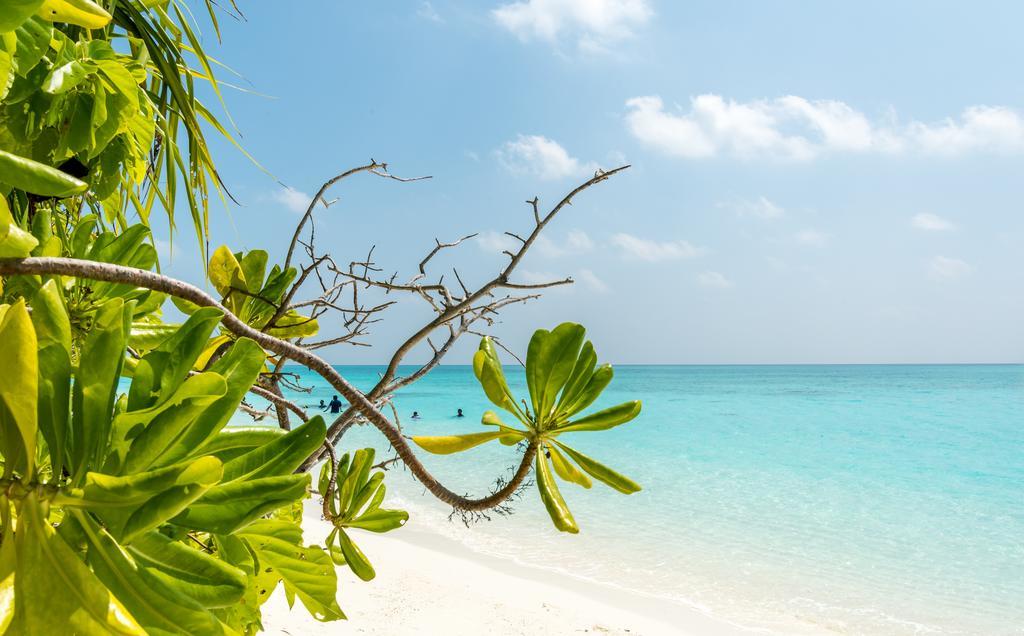 Fulhadhoo Inn Экстерьер фото